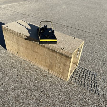 rat trap with safety mechanism