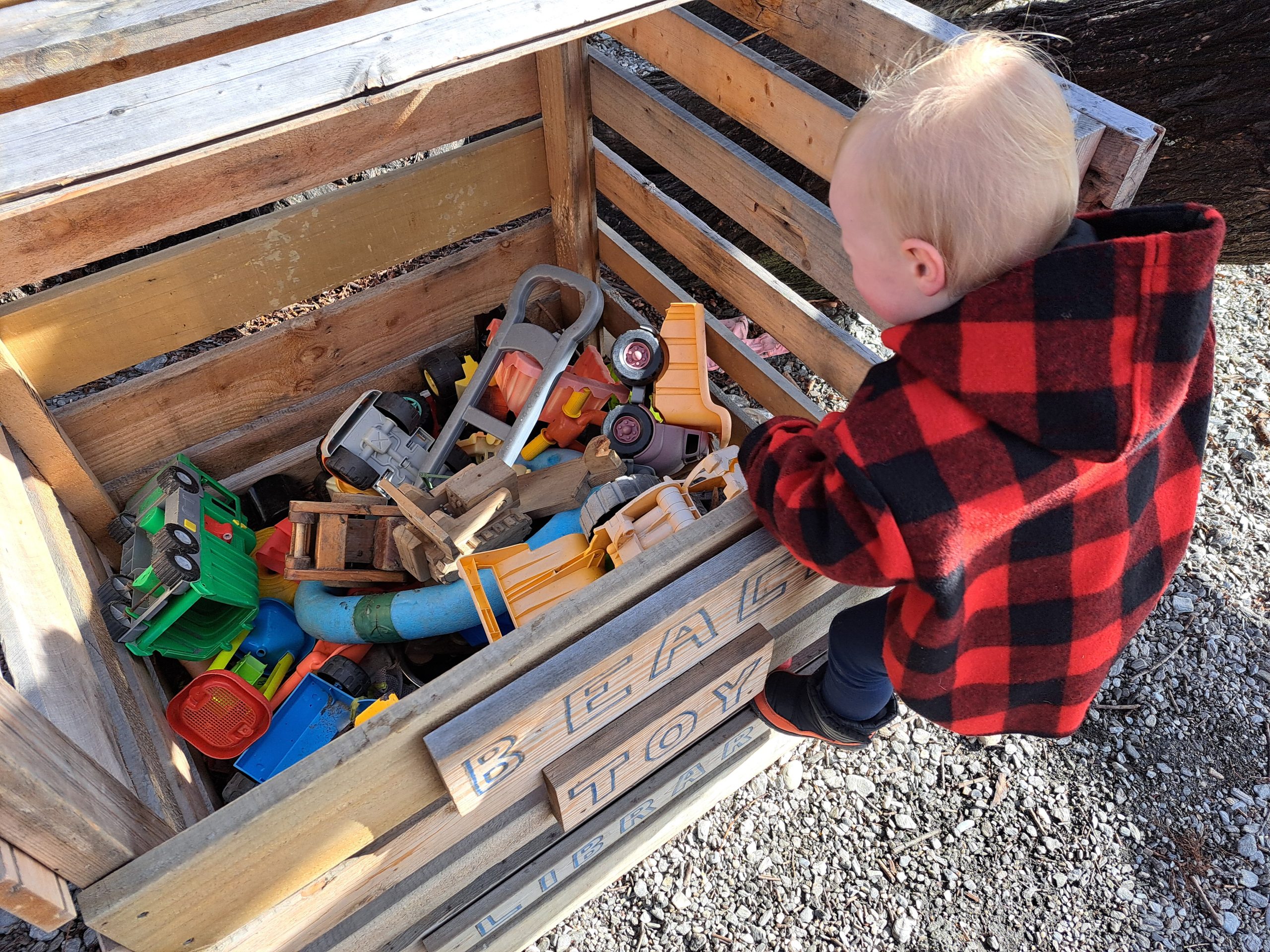 Beach toy library popular